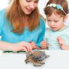 Miniature Turtles Realistic Exquisite Miniature Figurines Colorful Educational Turtle Toy For Children Boys Girls